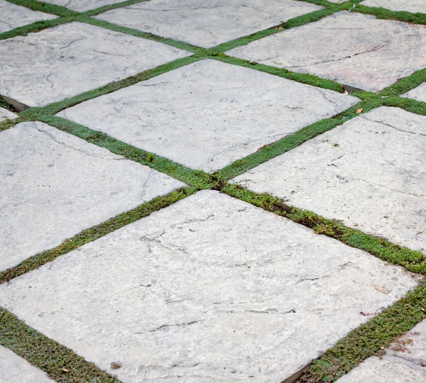 PAVERS INSTALLATION